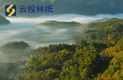云南云景林纸股份有限公司