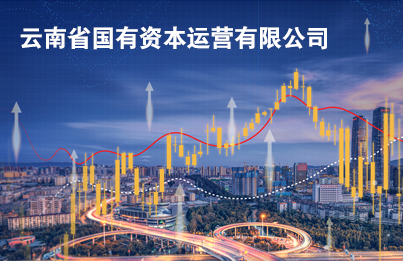 云南省国有资本运营有限公司